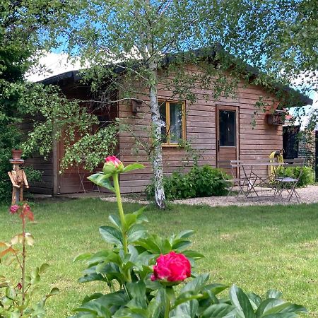 Chalet Proche Orleans Centre Saint-Jean-le-Blanc Ngoại thất bức ảnh