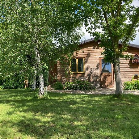 Chalet Proche Orleans Centre Saint-Jean-le-Blanc Ngoại thất bức ảnh