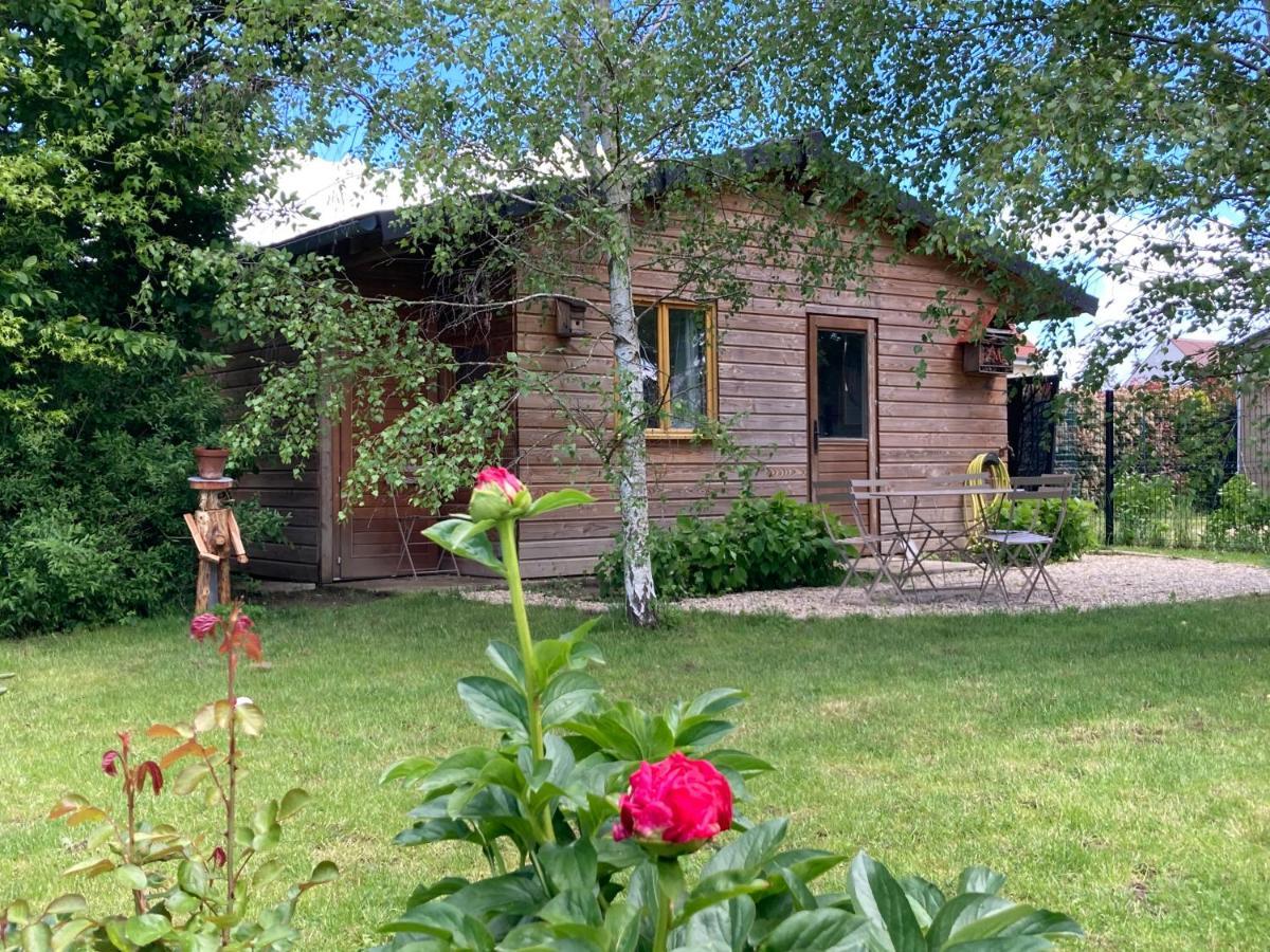 Chalet Proche Orleans Centre Saint-Jean-le-Blanc Ngoại thất bức ảnh